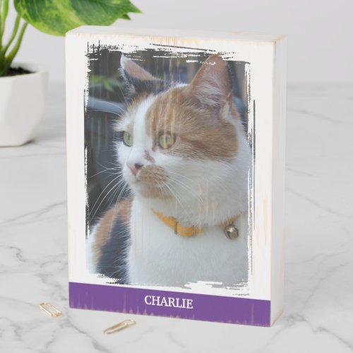 Animal lover add name purple cat photo rustic wooden box sign