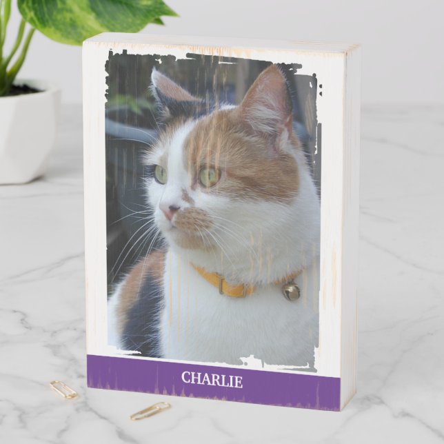 Animal lover add name purple cat photo rustic wooden box sign (In Situ Vertical)