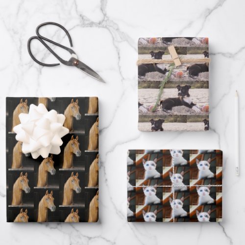 Animal Lover Pet Photos Wrapping Paper Sheets