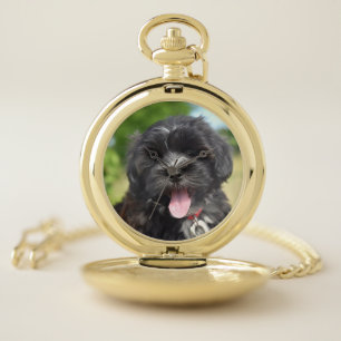 Animal, Mammal, Dog Pocket Watch