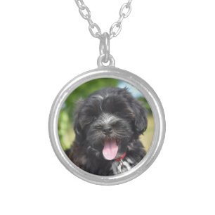 Animal, Mammal, Dog Silver Plated Necklace