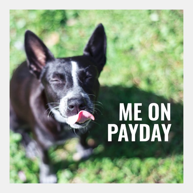 Animal Meme (Front)
