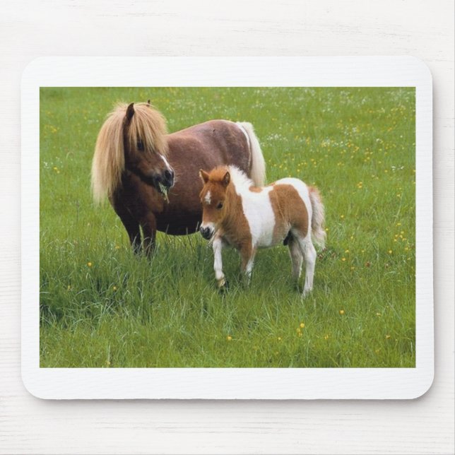 Animal Mothers and Babies (17) Mouse Pad (Front)