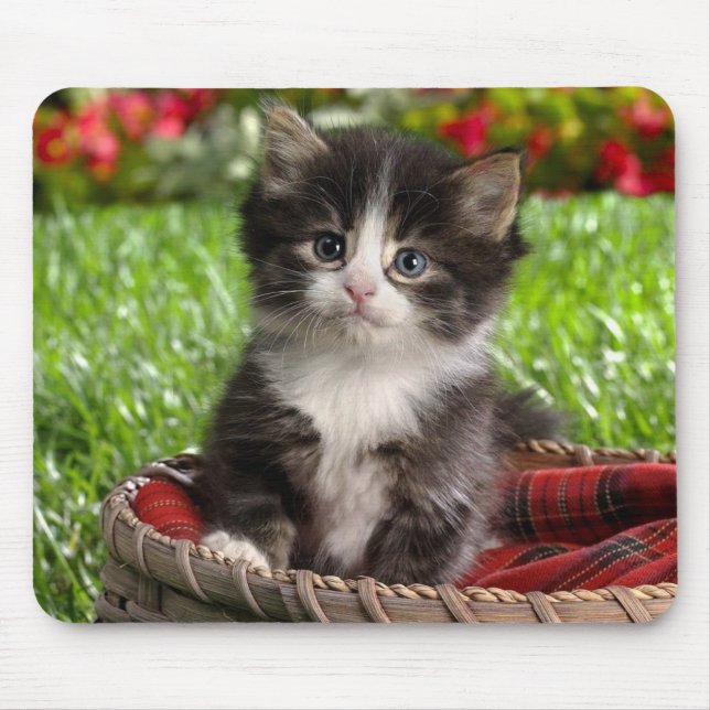 Animal mouse pad 14 (Front)