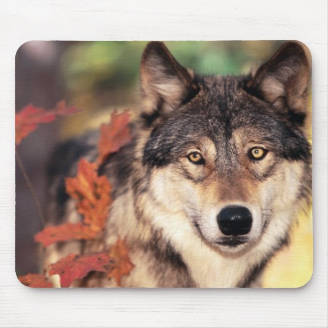 Animal mouse pad 36 (Front)
