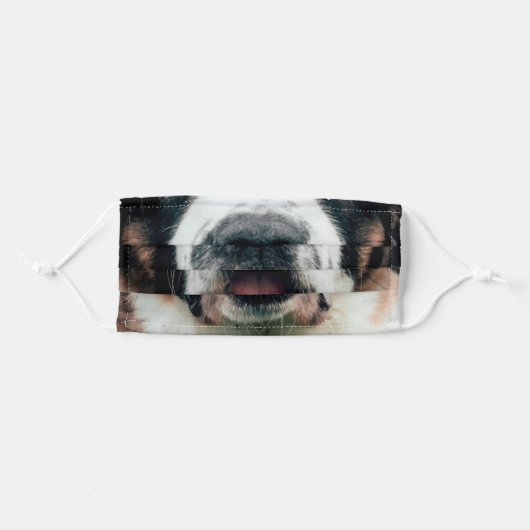 Animal Nose Mask Saint Bernard Dog (Front, Folded)