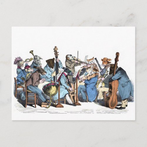 Animal Orchestra Postcard