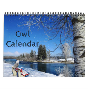 Animal Owl Bird Life Office Home Destiny'S Destiny Calendar