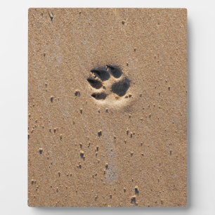 Animal paw prints in sand plaque