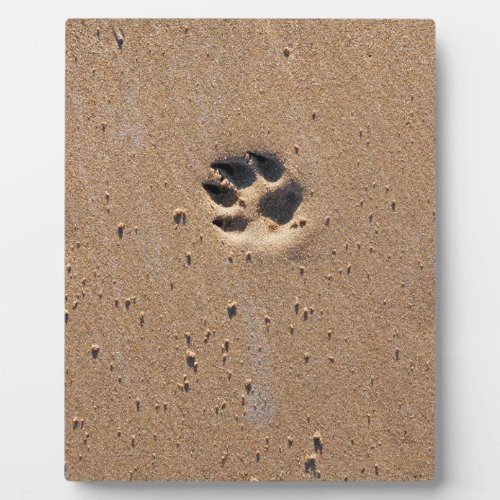 Animal paw prints in sand plaque