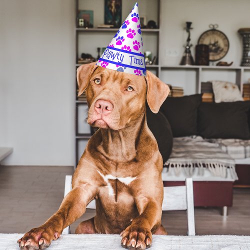 Animal Paw Silhouette Blue Pink Pawty Paper Party Hat