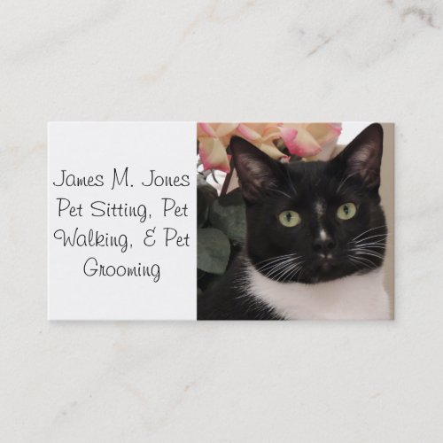 Animal Pet Sitting Business Cards