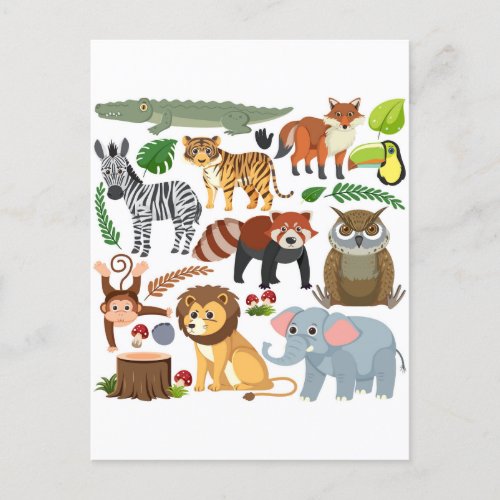 Animal Postcard