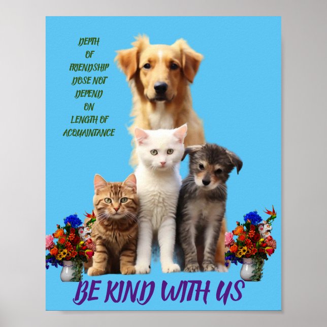 animal poster (Front)