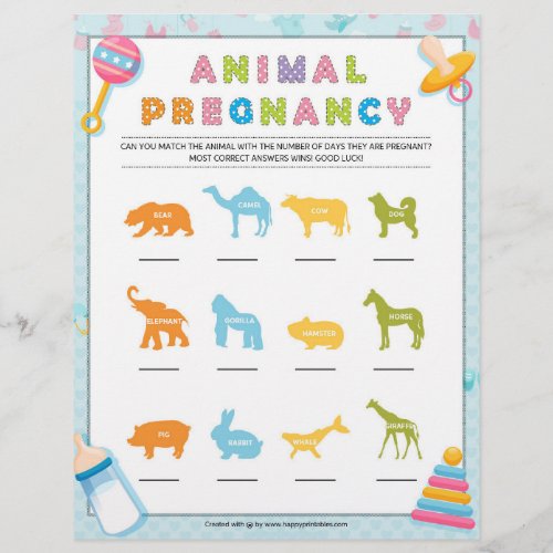 Animal Pregnancy Baby Basics Blue Letterhead