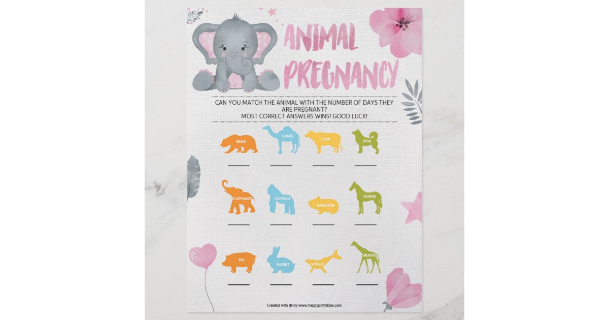 Animal Pregnancy [Baby Elephant [Pink]] Letterhead Zazzle