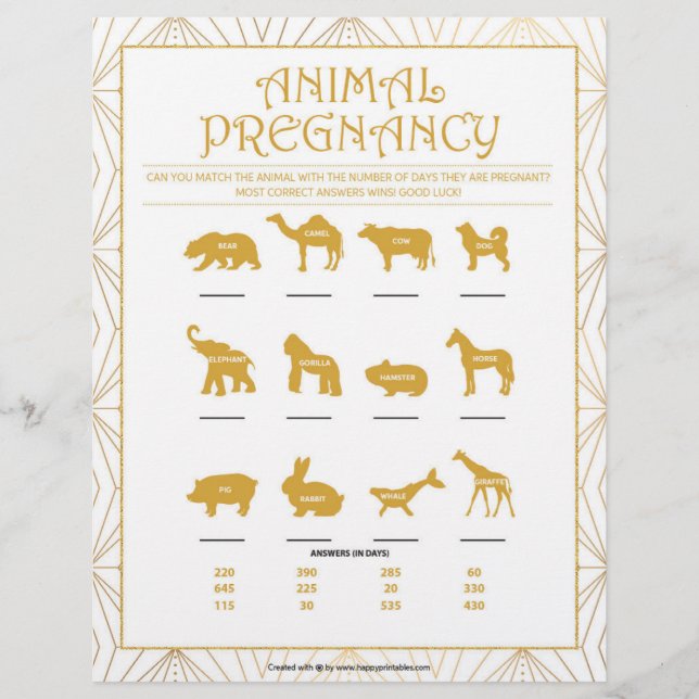 Animal Pregnancy [Golden Lines] Letterhead (Front)