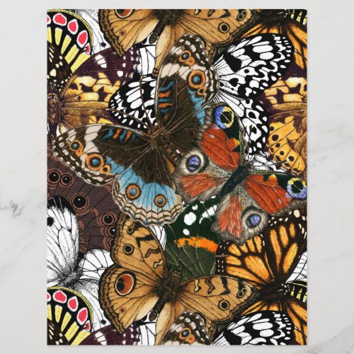 Animal print Butterfly wings