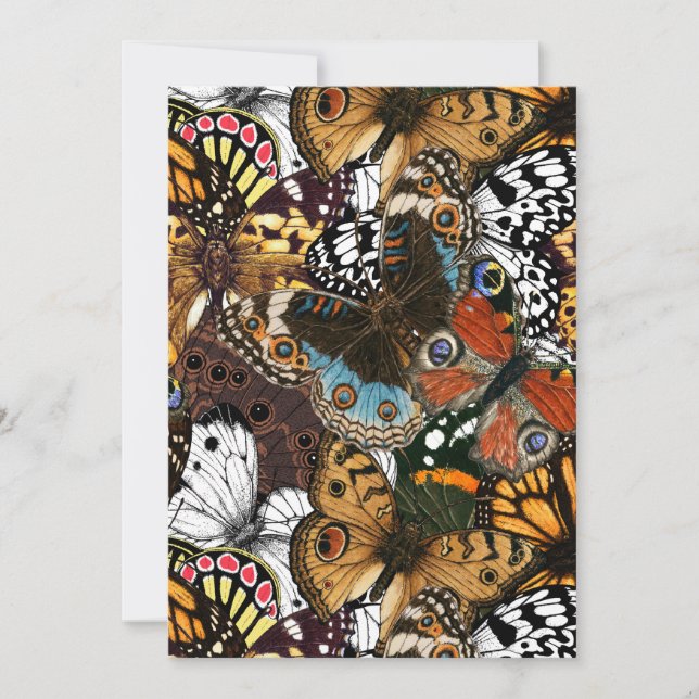 Animal print. Butterfly wings. (Front)