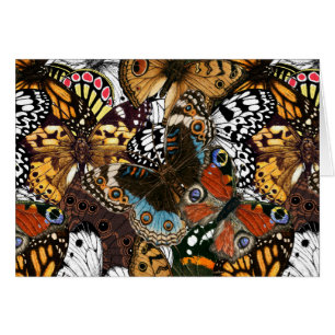 Animal print. Butterfly wings. Cards