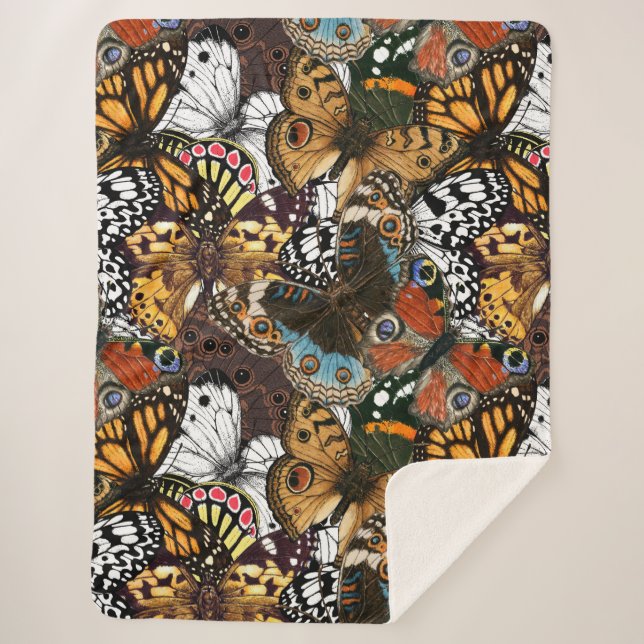 Animal print. Butterfly wings. Sherpa Blanket (Front)