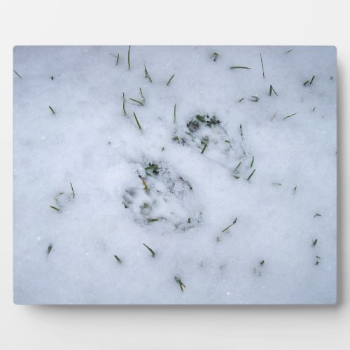 Animal Prints in the Snow Plaque