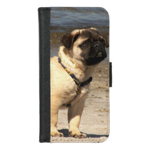 animal,pug,iPhone ,Plus, Wallet Case,colorful