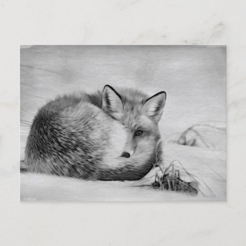  Animal Red Fox Ap18 Artistic  Artsy Wildlife Postcard