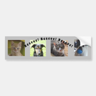 Animal Rescue Bumper Sticker