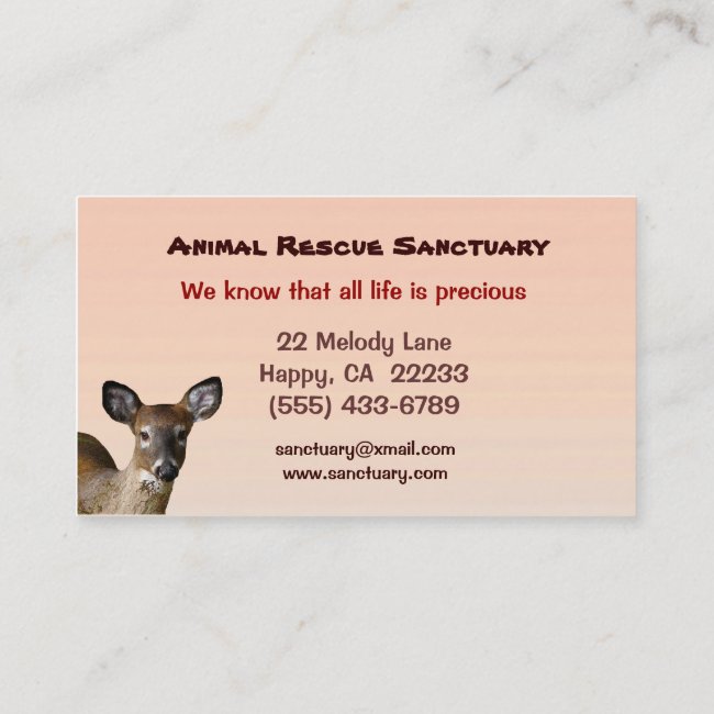 Animal Rescue Sanctuary