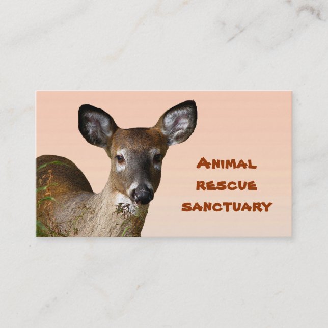 Animal Rescue Sanctuary Business Card (Front)
