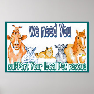 Animal Resues Poster