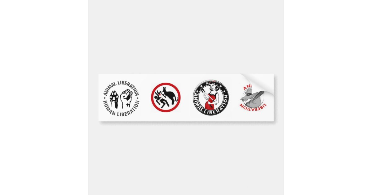 Animal Rights (4 in 1) Bumper Sticker | Zazzle
