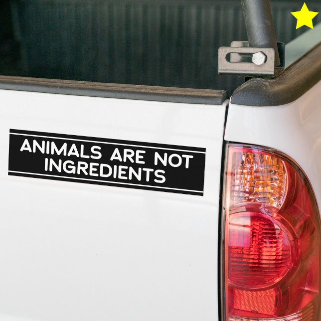 Animal Rights Phrase Vegan Vegetarian Saying Bumper Sticker (Creator Uploaded)