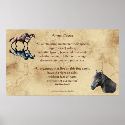 Animal Rights Poem  Spanish Mustangs Art Poster