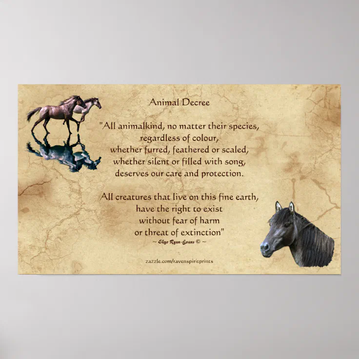 Animal Rights Poem & Spanish Mustangs Art Poster | Zazzle