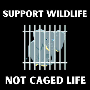 Animal Rights, Support Wildlife, Not Caged Life Sticker