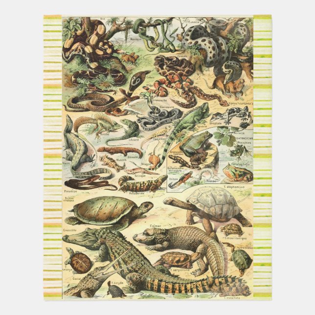 Animal Rug Reptile Rug with Snakes Frogs & Turtles (Front (Vertical))