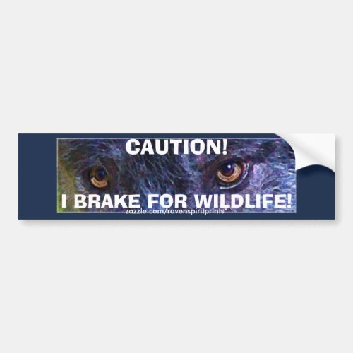 ANIMAL SAFETY Bumper Sticker Collection