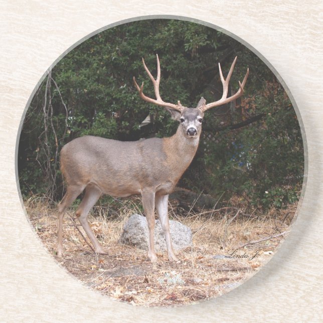 Animal Series---Deer Coaster (Front)