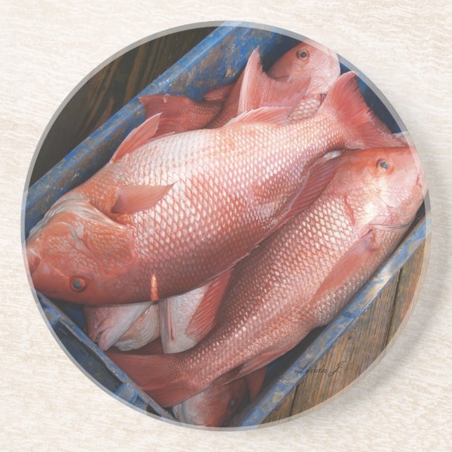 Animal Series---Red Snapper Fish Coaster (Front)