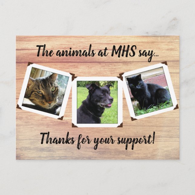 Animal Shelter Three Photo Template Thanks Postcard (Front)
