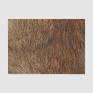 Animal Skin Brown Abstract Bear Minimal Small Tissue Paper