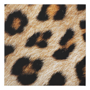 Animal skin texture natureanimal,skin,pattern,abst faux canvas print