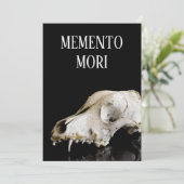 Animal skull (Standing Front)