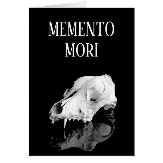 Animal skull cards (Front)