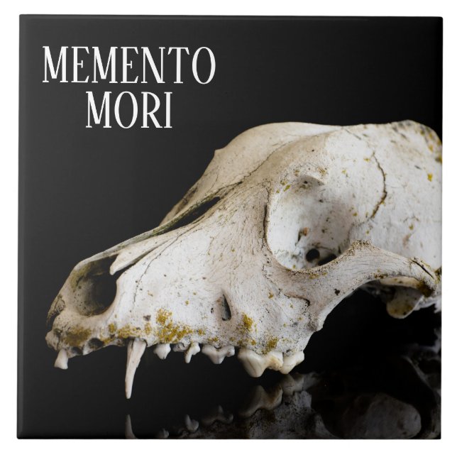 Animal skull ceramic tile (Front)