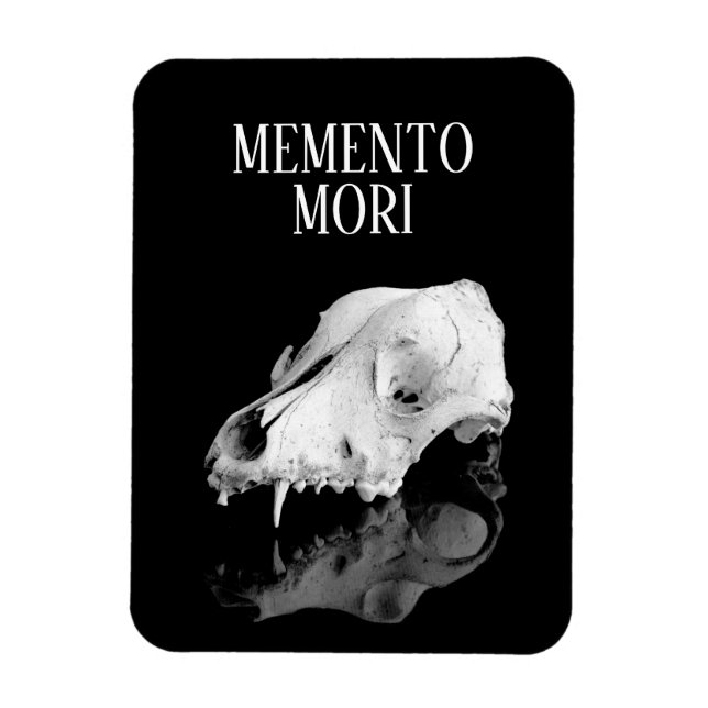 Animal skull magnet (Vertical)