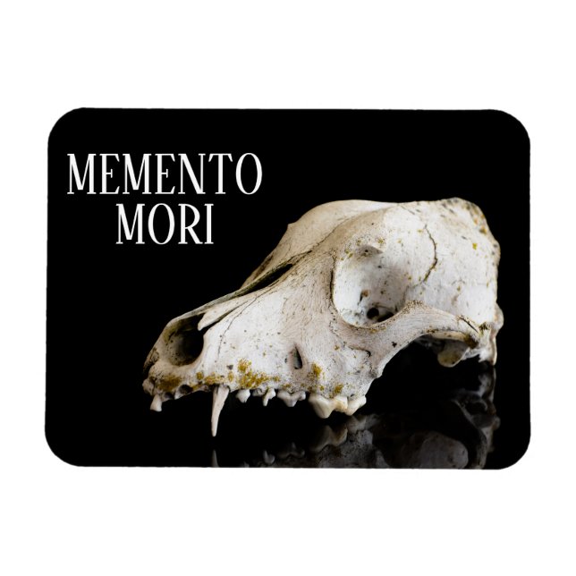 Animal skull magnet (Horizontal)