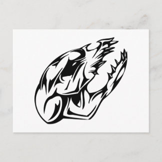 Animal Skull Postcard